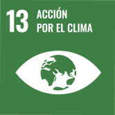 13 acción por el clima