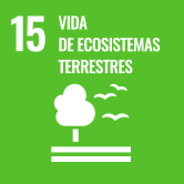 15 ecosistemas terrestres